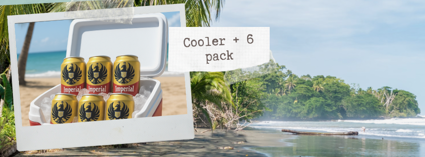 Cooler + 6 Pack